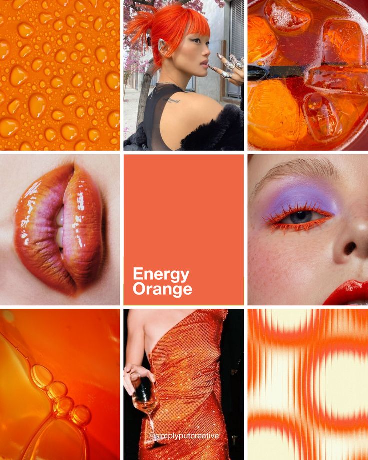 Orange Palette Kursus Digital Marketing Bali