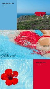 Tropical Palette Kursus Digital Marketing Bali