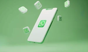 Kursus Digital Marketing Bali WhatsApp Shopping Pengertian dan Kegunaannya Recademy